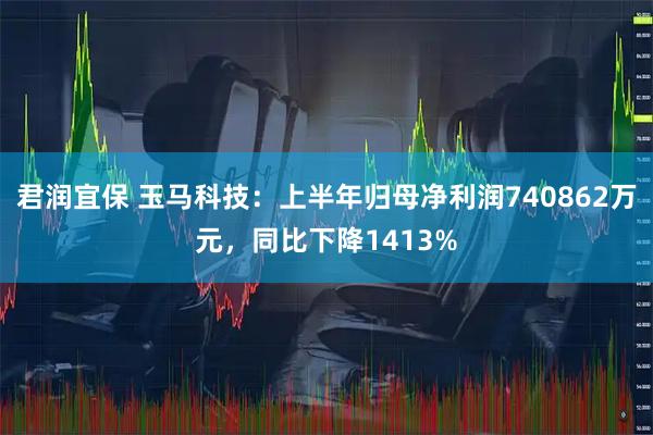 君润宜保 玉马科技：上半年归母净利润740862万元，同比下降1413%