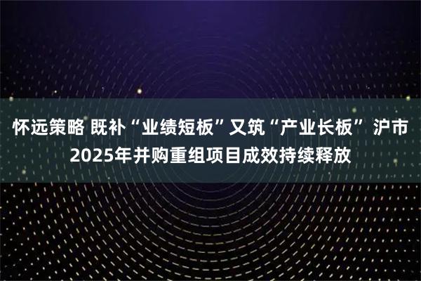 怀远策略 既补“业绩短板”又筑“产业长板” 沪市2025年并购重组项目成效持续释放