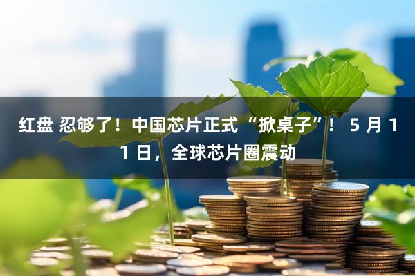 红盘 忍够了！中国芯片正式 “掀桌子”！ 5 月 11 日，全球芯片圈震动