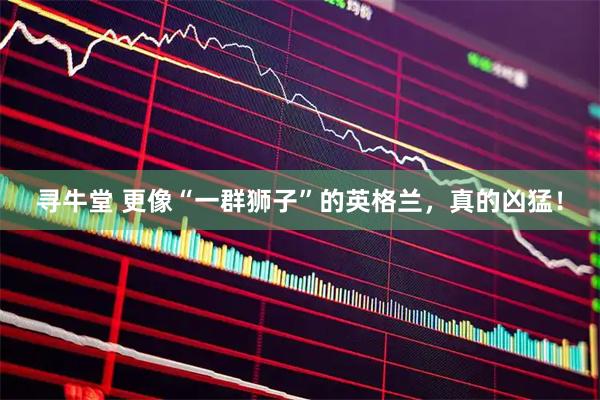 寻牛堂 更像“一群狮子”的英格兰，真的凶猛！